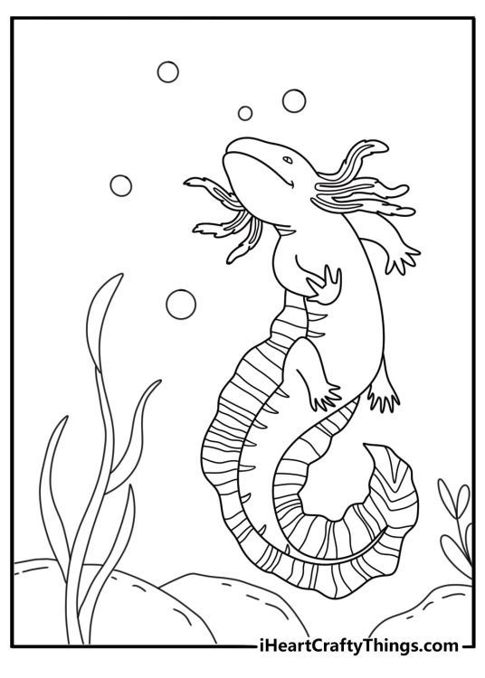 A pet axolot explores a glass aquarium corner in this simple printable