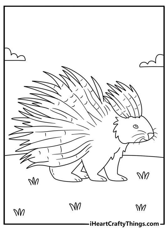 A porcupine displays its long quills in this detailed animal coloring sheet