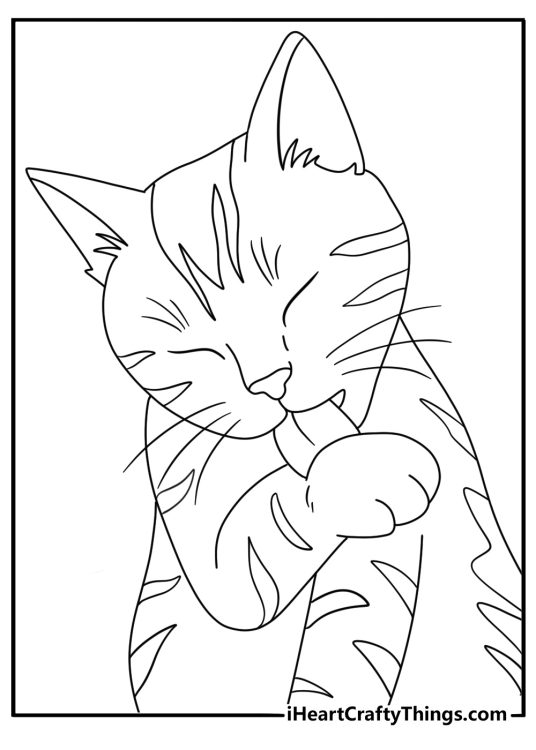 A realistic cat cleans its paw in this simple animal coloring sheet