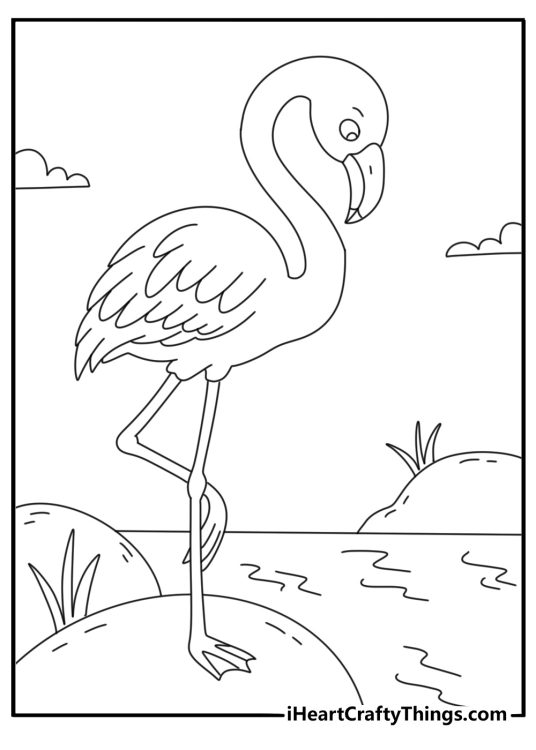 A simple bird coloring sheet shows a flamingo near smooth river stones