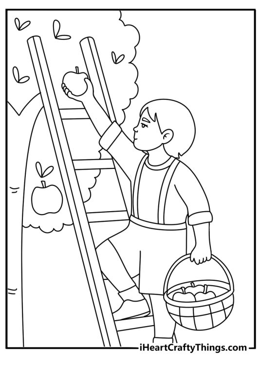 Apple coloring page showing a child picking fruit with a small ladder
