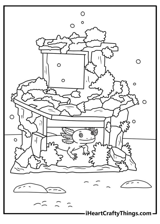 Aquatic pet coloring sheet showing an axolotl beside a flat slate hide