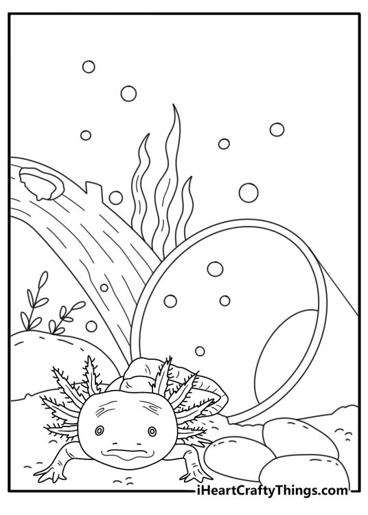 Axolot coloring pages scene featuring a dark wild type axolotl near a clay pot