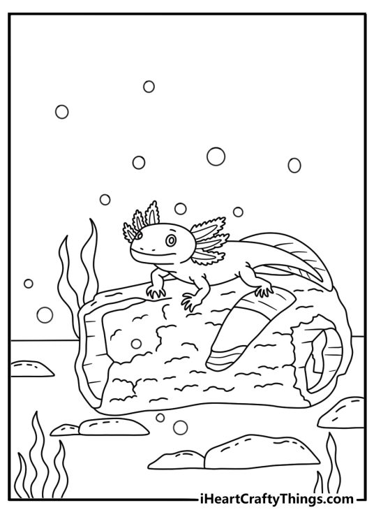 Axolotl coloring page for kids featuring a salamander near an aquarium log