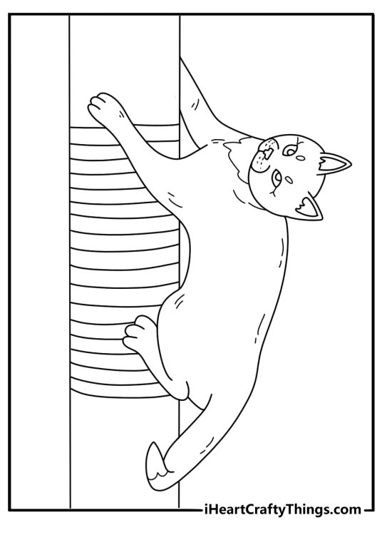 Cat coloring page showing a kitten climbing a scratching post