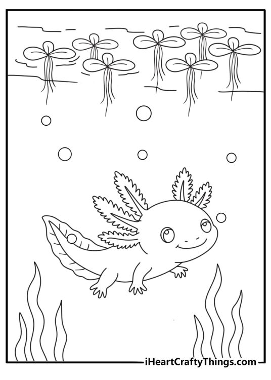 Cold water and floating duckweed form the setting for this free coloring sheet