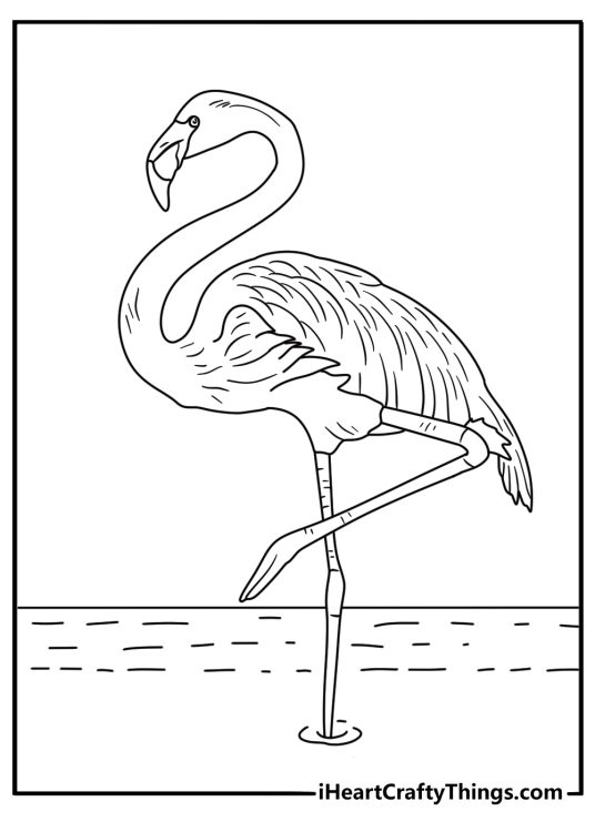 Feather patterns decorate the body in this detailed flamingo printable