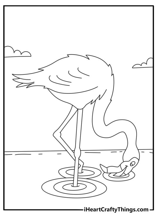 Flamingo coloring page showing a bird searching for shrimp in a lagoon