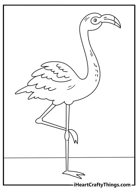 Flamingo coloring pages scene featuring a young bird learning to balance