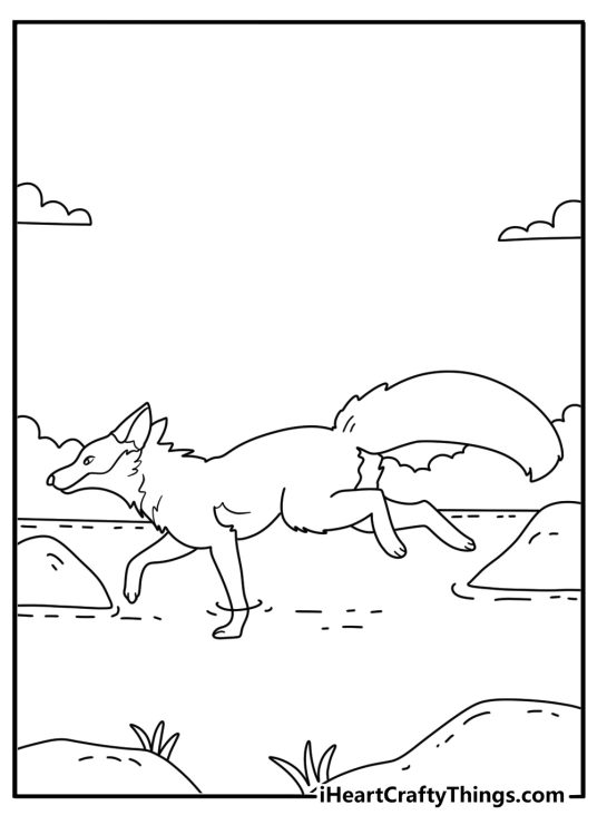 Fox coloring page showing a red fox crossing a shallow stream