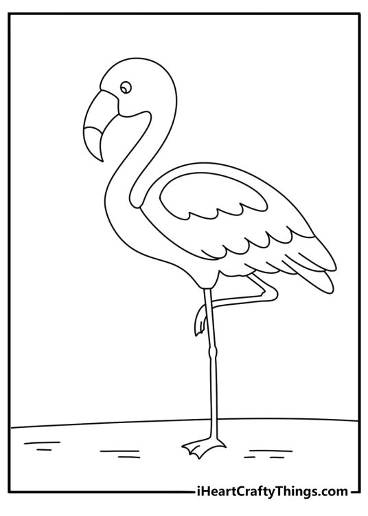 Free flamingo printable featuring a curved beak beside soft feathers