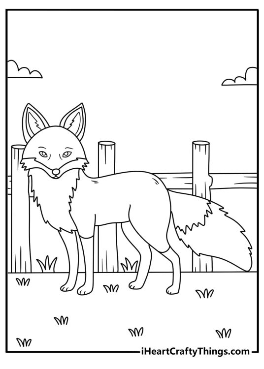 Free fox coloring sheet showing a fox beside a wooden fence