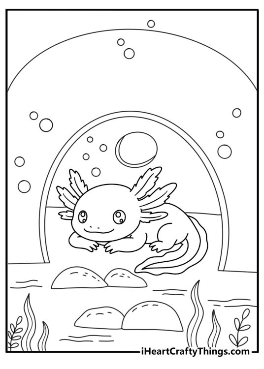 Free printable axolotl sheet featuring feathery gills near a ceramic hide