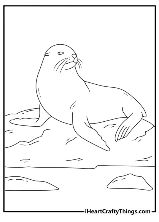 Free wildlife printable with a seal resting on a rocky shore