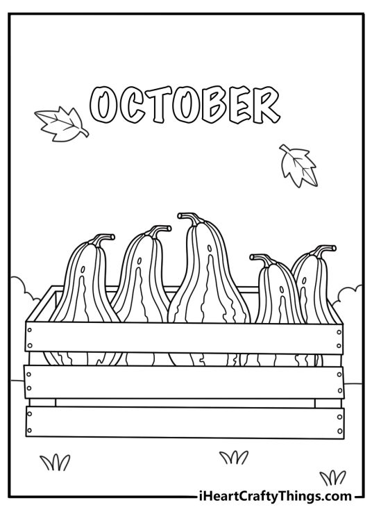 Harvest season appears in a detailed printable with gourds and wooden crates