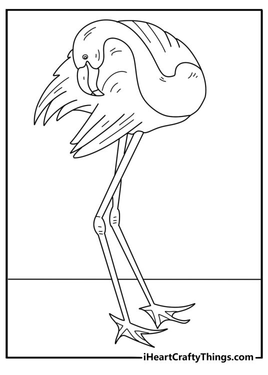 Kids can color a flamingo bending its neck to clean its feathers