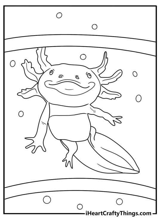 Kids can color a leucistic axolotl exploring an aquarium tunnel