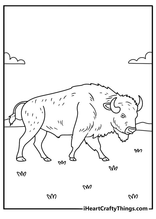 Printable animal sheet featuring a bison crossing an open prairie