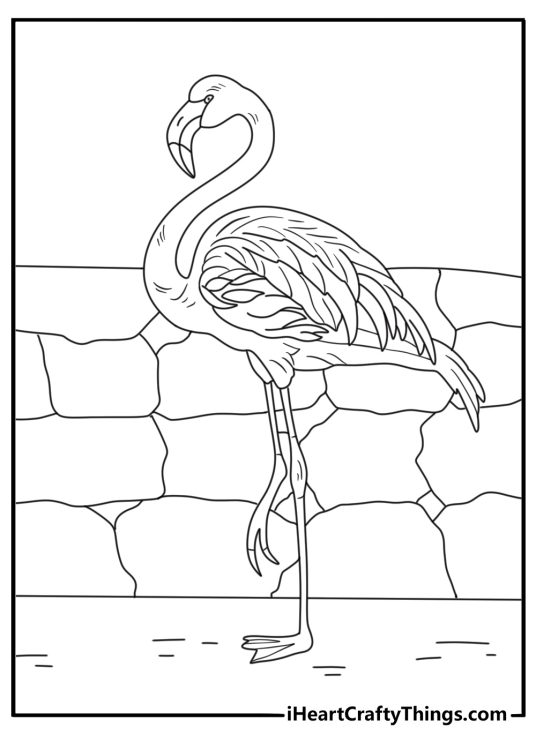 Printable zoo coloring page with a flamingo near a low stone wall