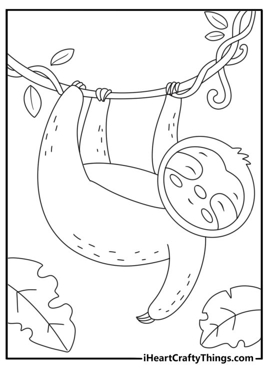 Sloth hanging from a rainforest branch fills this cute animal coloring page