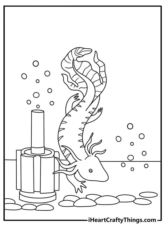 This easy axolotl coloring page shows a pet near a sponge filter