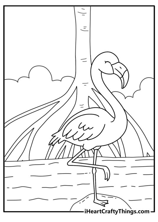 Tropical bird coloring printable with a flamingo beside mangrove roots
