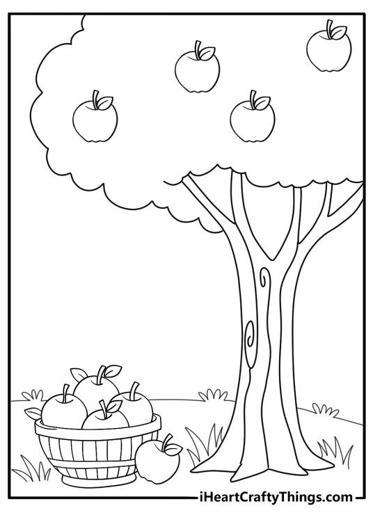 apple basket at a farm detailed coloring sheet