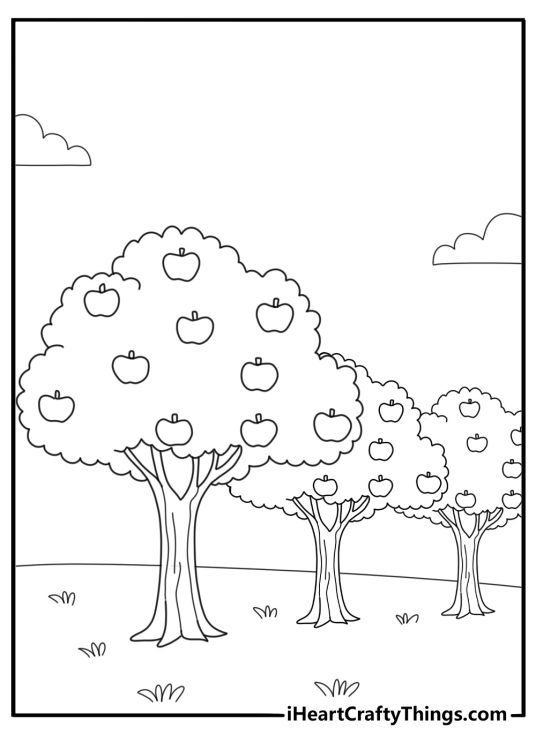apple orchard scene with rows of trees simple coloring sheet