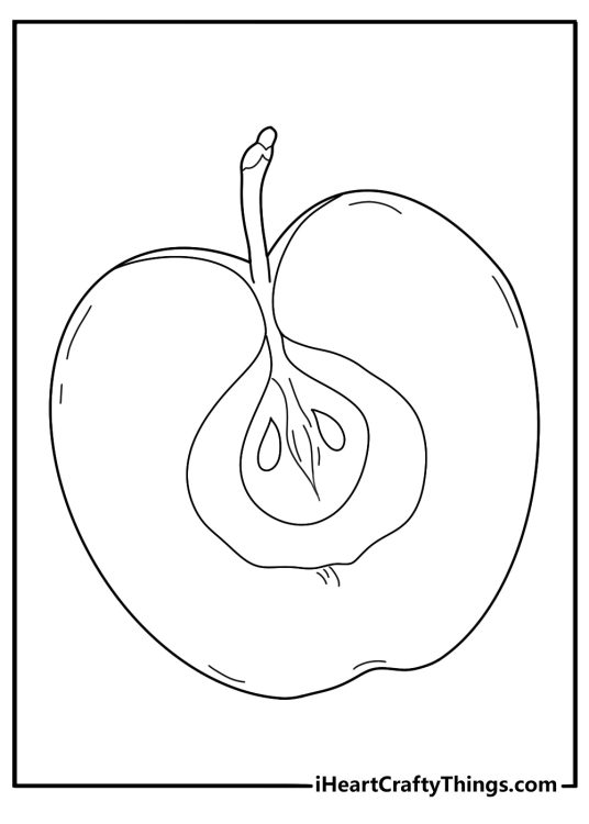 apple sliced in half showing seeds easy coloring sheet