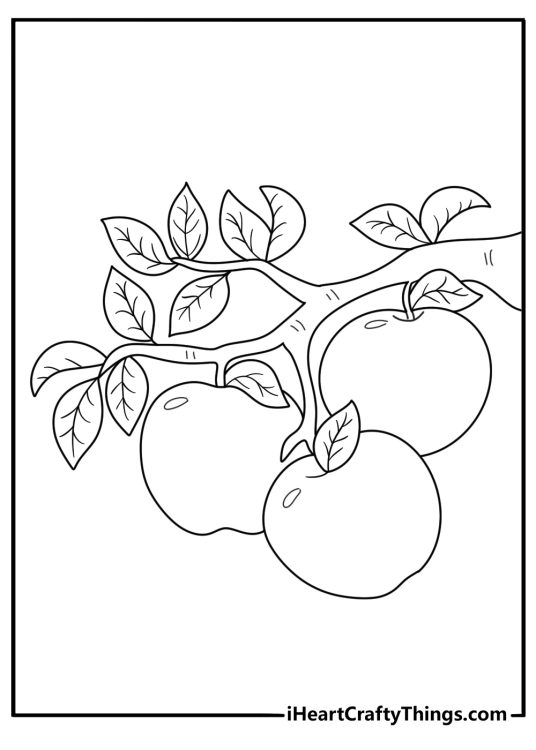 apple tree with fruit hanging from branches detailed coloring sheet