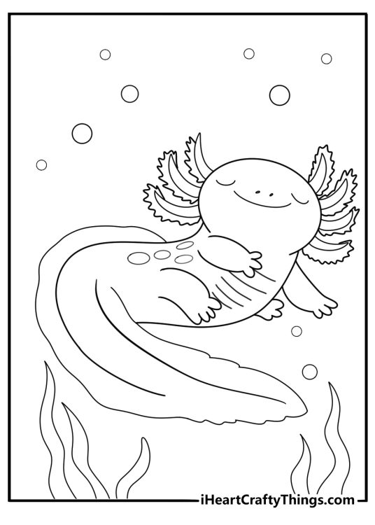 axolotl floating near water plants detailed coloring sheet