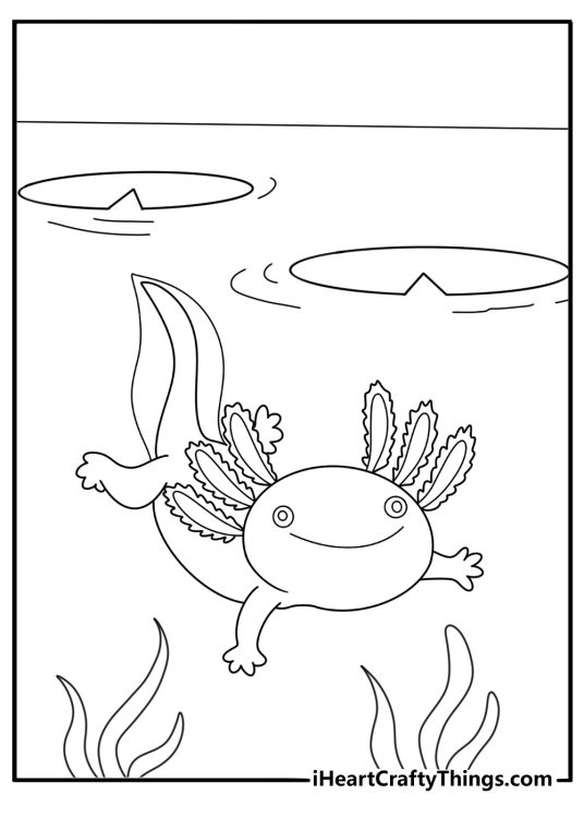 axolotl in shallow water near lily pads easy coloring page