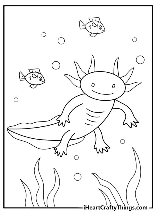 axolotl next to fish in pond printable coloring page