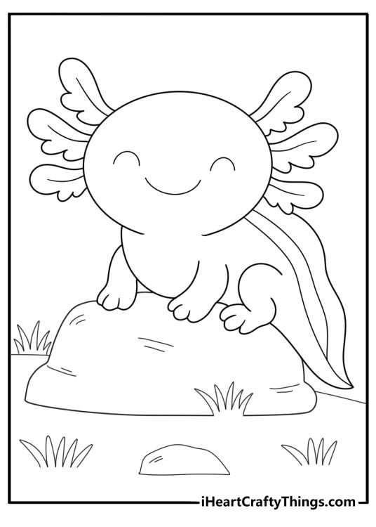 axolotl resting on a rock simple coloring sheet