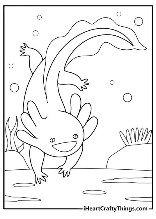 axolotl surrounded by pebbles simple coloring page