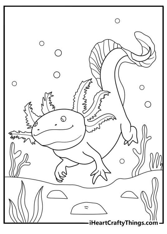axolotl with long tail cartoon coloring sheet