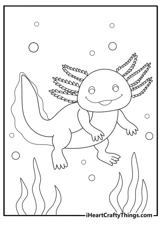 axolotl with wide head detailed coloring sheet