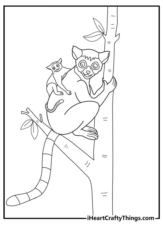 baby lemur riding on mothers back coloring page for kids