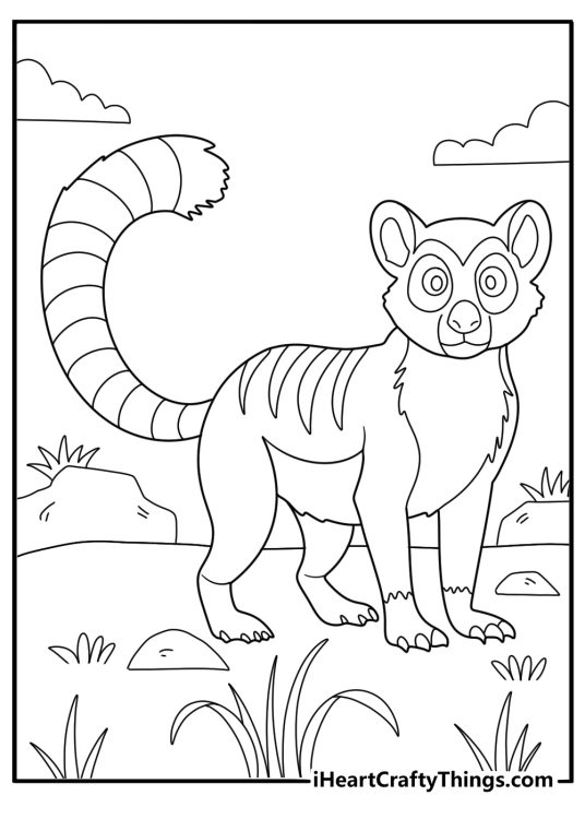 cartoon lemur standing with striped tail fun coloring sheet