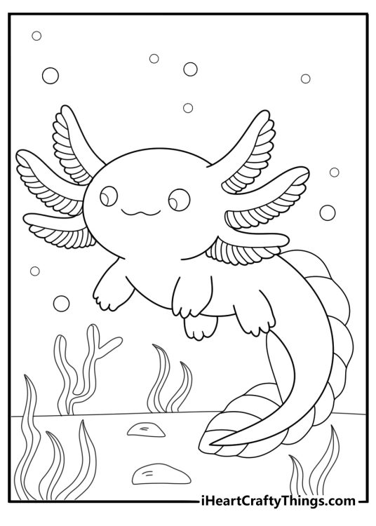 kawaii axolotl with large gills fun coloring page