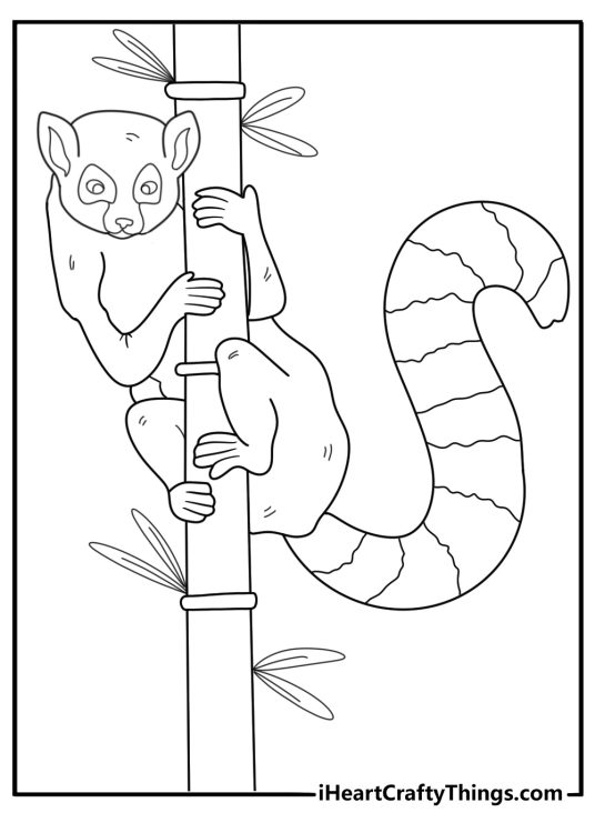lemur climbing bamboo stalk cartoon coloring sheet