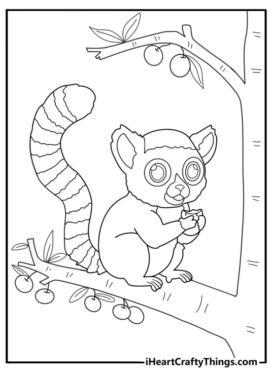 lemur eating fruit from a tree simple coloring page