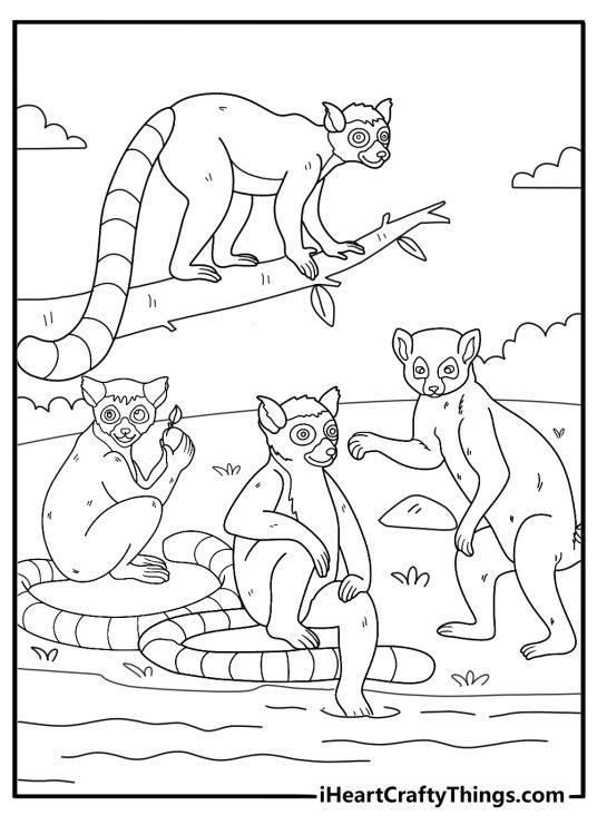 lemur group gathered near a river coloring sheet