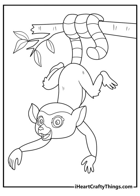 lemur hanging upside down from a branch cartoon coloring sheet