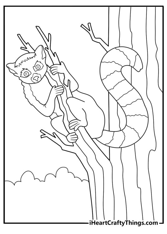 lemur perched on a tall branch forest background coloring sheet