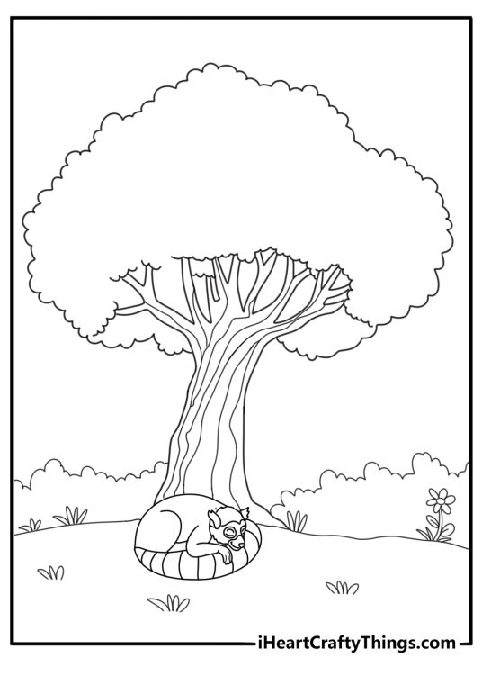 lemur resting under a tree shade coloring page