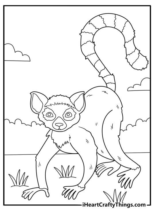 lemur running across the ground easy coloring sheet