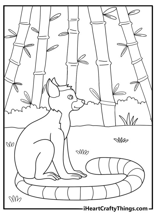 lemur sitting in bamboo forest detailed coloring sheet