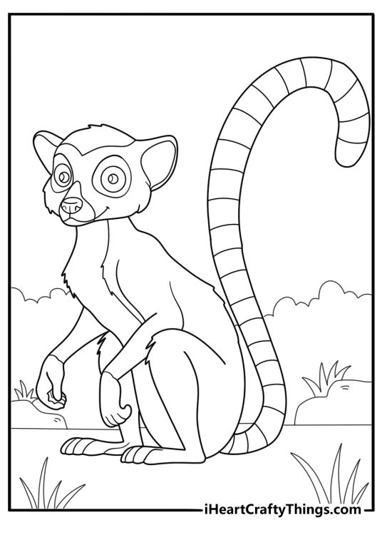 lemur sitting in the grass simple coloring page