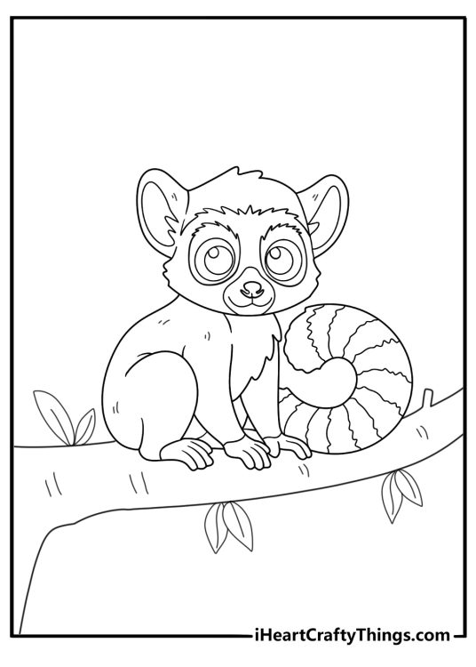 lemur sitting on a tree branch easy coloring page for kids